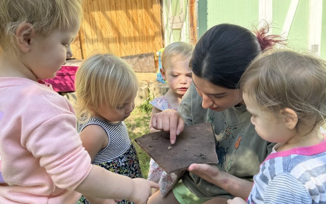 Dissecting the Fear of Bugs in a Toddler Classroom
