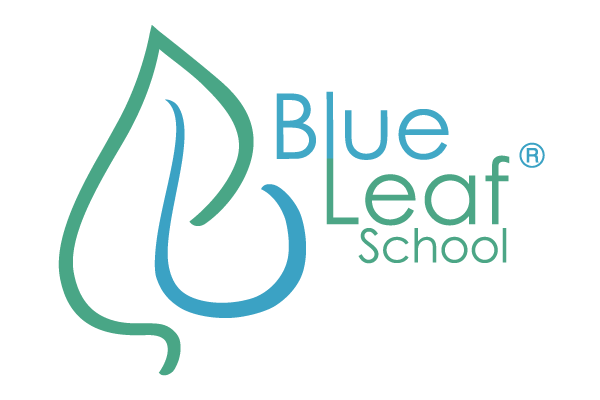 Blue Leaf School Blogs