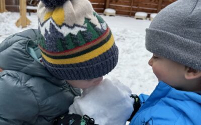 Another week of inside time due to cold weather, but the development and learning continues!