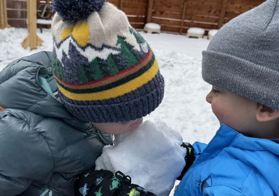 Another week of inside time due to cold weather, but the development and learning continues!