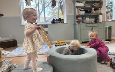 Big Body Play During Wintery Inside Time