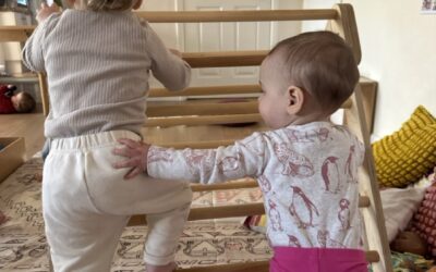 Moving Our Bodies – The Pikler Triangle
