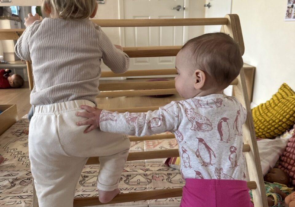 Moving Our Bodies – The Pikler Triangle