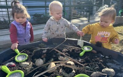 Signs of Spring with Hands-On Exploration and Discovery!