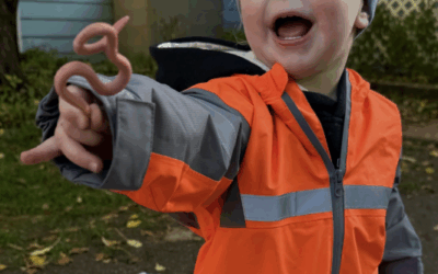 “Don’t Rush Me, Please”: Where Wonder Leads Us…