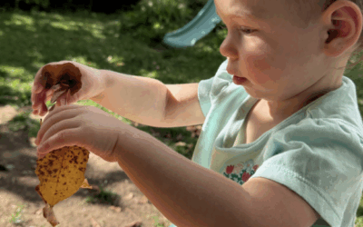 Following the Child: How Observation Shapes Our Days