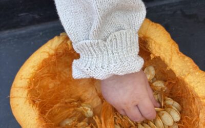 Pumpkin SMASH!